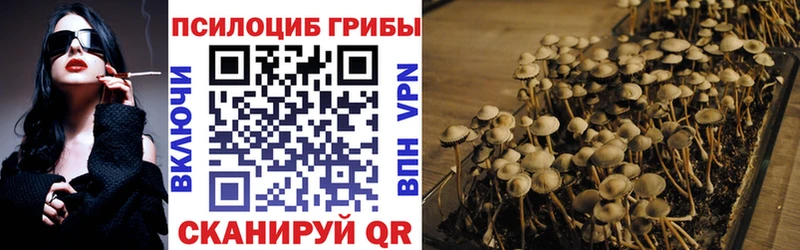 Галлюциногенные грибы Cubensis Корсаков
