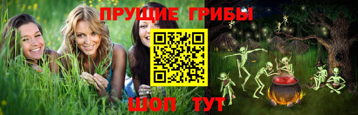 Корсаков  Галлюциногенные грибы ЛСД  Вход с VPN  Псилоцибиновые грибы Magic Shrooms 