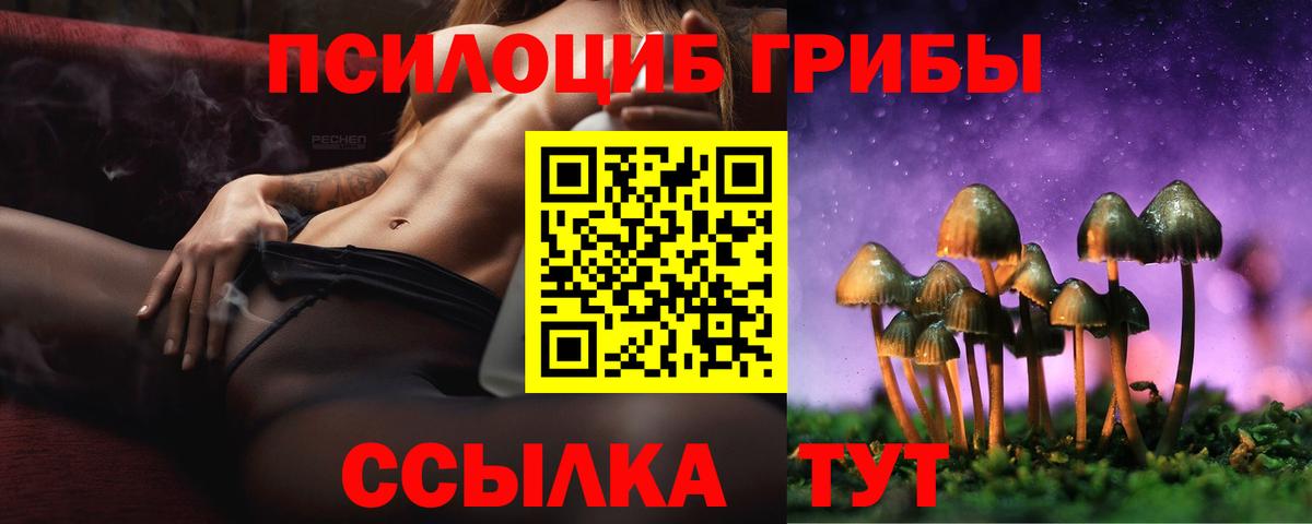Псилоцибиновые грибы Cubensis Корсаков
