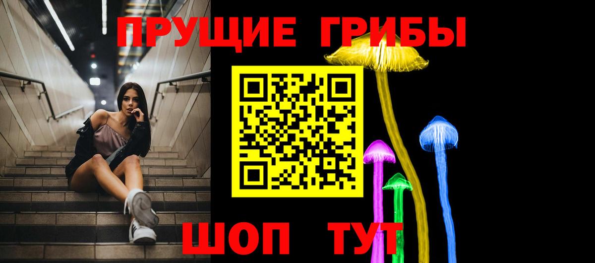 Псилоцибиновые грибы GOLDEN TEACHER  Корсаков  Галлюциногенные грибы мухоморы 