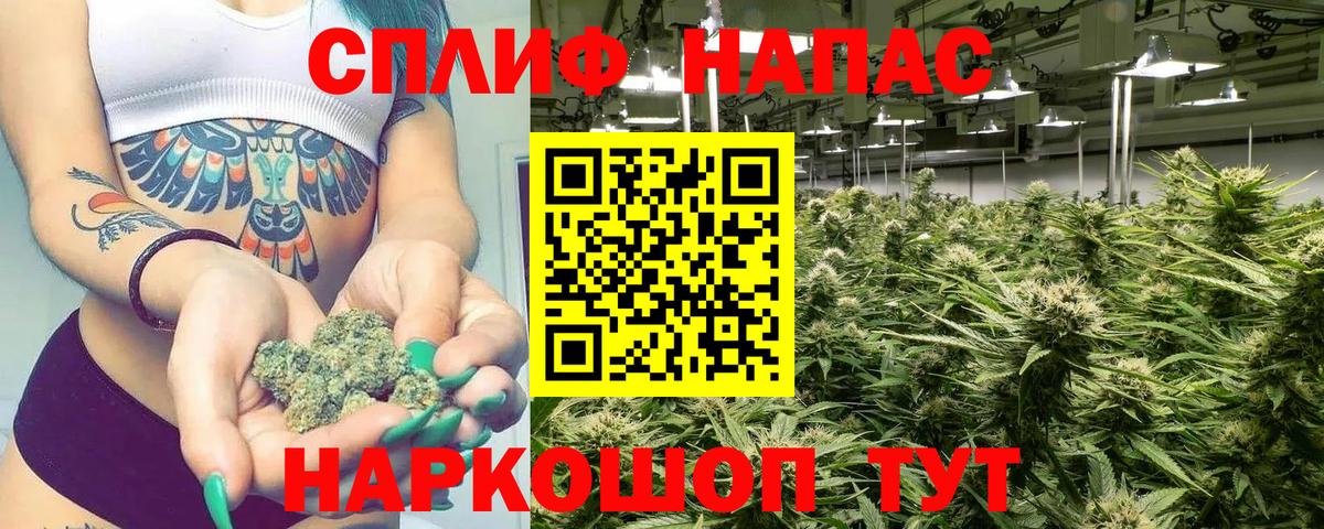 Каннабис индика  Корсаков  Канабис VHQ 