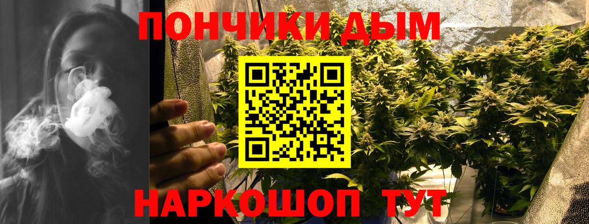 Шишки марихуана THC 21%  Вход с VPN  Каннабис сатива  Корсаков  Каннабис марихуана 